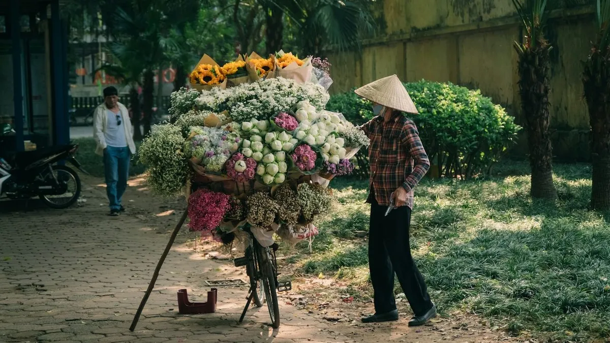 Mùa hoa bên bãi sông